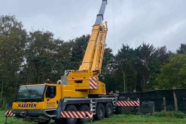 bomen verwijderen poppel