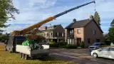 images/0000nieuws/2022/12-poppel/bomen-verwijderen-breda-dongen2-160x90-ece