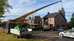 images/0000nieuws/2022/12-poppel/bomen-verwijderen-breda-dongen2-257x145-61d