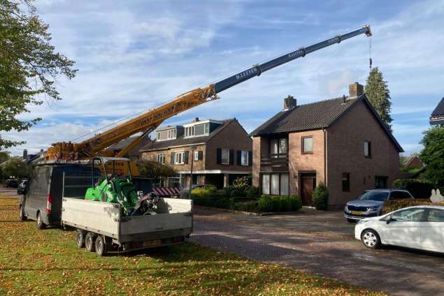 bomen verwijderen poppel