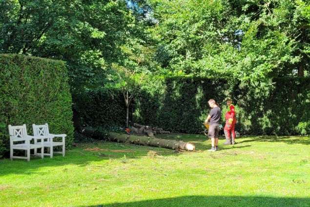 boom verwijderen geldermalsen