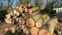 images/0000nieuws/2022/5-3-best-bomen-rooien/verwijderen-van-bomen-in-best-eindhoven-90x51-d20