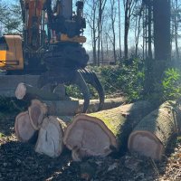images/0000nieuws/2022/5-3-best-bomen-rooien/verwijderen-van-bomen-in-best-eindhoven-boxtel-200x200-89f