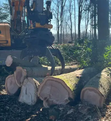 images/0000nieuws/2022/5-3-best-bomen-rooien/verwijderen-van-bomen-in-best-eindhoven-boxtel-390x424-0f9