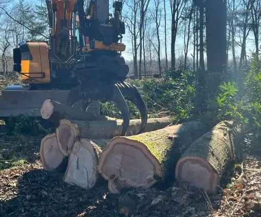 images/0000nieuws/2022/5-3-best-bomen-rooien/verwijderen-van-bomen-in-best-eindhoven-boxtel-510x424-e25
