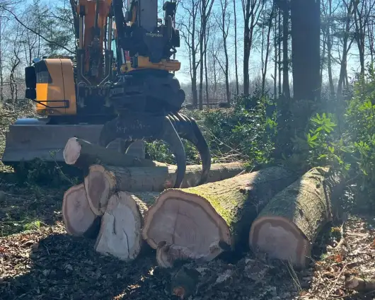 images/0000nieuws/2022/5-3-best-bomen-rooien/verwijderen-van-bomen-in-best-eindhoven-boxtel-530x424-f48