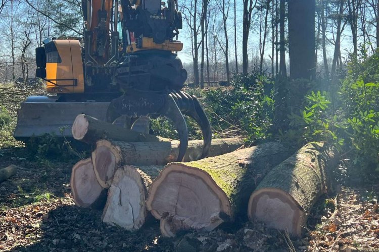 images/0000nieuws/2022/5-3-best-bomen-rooien/verwijderen-van-bomen-in-best-eindhoven-boxtel-750x500-5a3