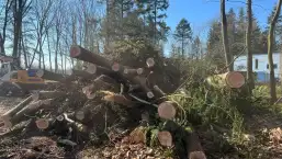 images/0000nieuws/2022/5-3-best-bomen-rooien/verwijderen-van-bomen-in-best-eindhoven-neunen-257x145-859