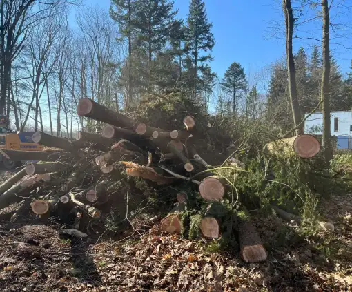 images/0000nieuws/2022/5-3-best-bomen-rooien/verwijderen-van-bomen-in-best-eindhoven-neunen-510x424-9d9