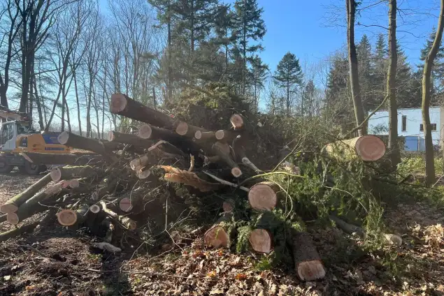images/0000nieuws/2022/5-3-best-bomen-rooien/verwijderen-van-bomen-in-best-eindhoven-neunen-635x424-0de