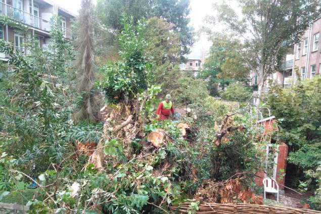 omgevallen boom opruimen door storm in Amsterdam