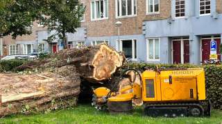 omgevallen boom opruimen door storm in Amsterdam