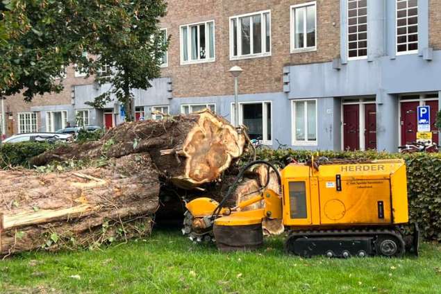 omgevallen boom opruimen door storm in Amsterdam