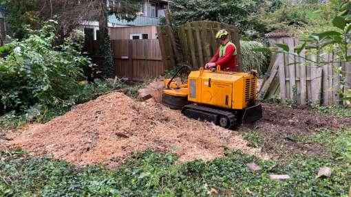 omgevallen boom opruimen door storm in Amsterdam