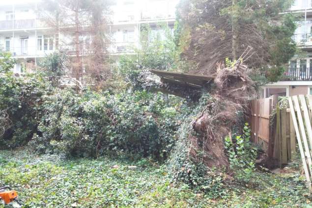 omgevallen boom opruimen door storm in Amsterdam