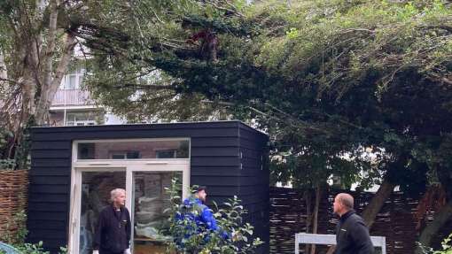 omgevallen boom opruimen door storm in Amsterdam