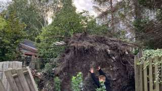 omgevallen boom opruimen door storm in Amsterdam