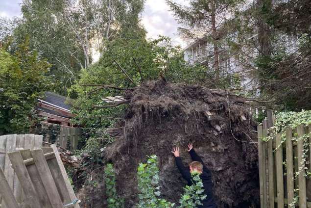 omgevallen boom opruimen door storm in Amsterdam