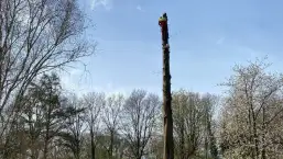 images/0000nieuws/2022/boomverwijderen-wierden/verwijderen-bomen-wierden-hoveniersbedrijf-almelo-257x145-2d9