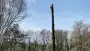 images/0000nieuws/2022/boomverwijderen-wierden/verwijderen-bomen-wierden-hoveniersbedrijf-almelo-90x51-b97