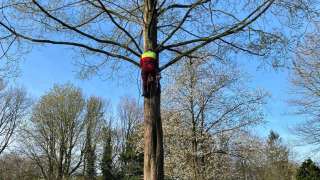 images/0000nieuws/2022/boomverwijderen-wierden/verwijderen-bomen-wierden-hoveniersbedrijf-apeldoorn-320x180-333
