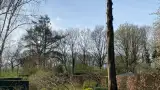 images/0000nieuws/2022/boomverwijderen-wierden/verwijderen-bomen-wierden-hoveniersbedrijf-henglo-160x90-7ae