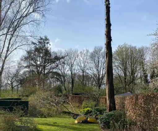 images/0000nieuws/2022/boomverwijderen-wierden/verwijderen-bomen-wierden-hoveniersbedrijf-henglo-510x424-128