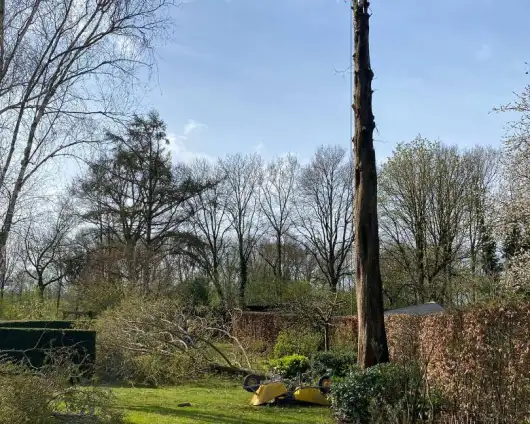 images/0000nieuws/2022/boomverwijderen-wierden/verwijderen-bomen-wierden-hoveniersbedrijf-henglo-530x424-19a