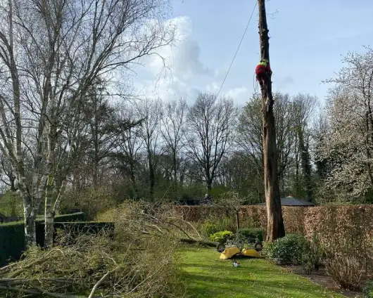 images/0000nieuws/2022/boomverwijderen-wierden/verwijderen-bomen-wierden-hoveniersbedrijf-stronk-uifrezen-met-stronkfrees-530x424-392