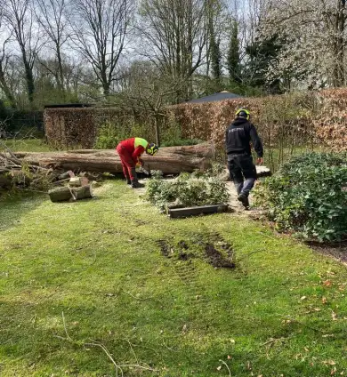 images/0000nieuws/2022/boomverwijderen-wierden/verwijderen-bomen-wierden-hoveniersbedrijf-stronk-verwijderen-390x424-c3f