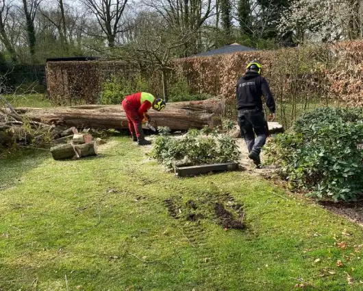 images/0000nieuws/2022/boomverwijderen-wierden/verwijderen-bomen-wierden-hoveniersbedrijf-stronk-verwijderen-530x424-ffd