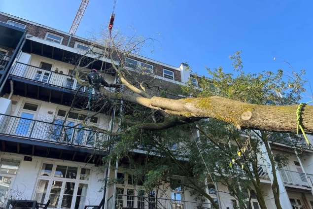 omgevallen storm <polly> boom verwijderen Amsterdam hoveniers 