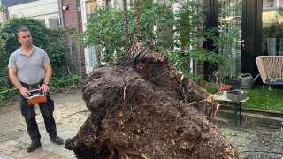 omgevallen storm <polly> boom verwijderen Amsterdam hoveniers 