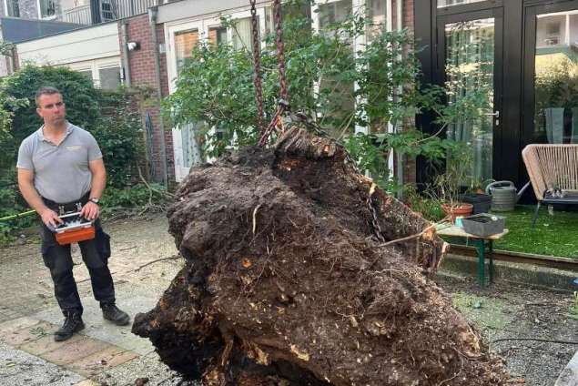 omgevallen storm <polly> boom verwijderen Amsterdam hoveniers 