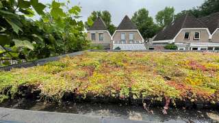 groene daken sedum matten hoe plaatsen 