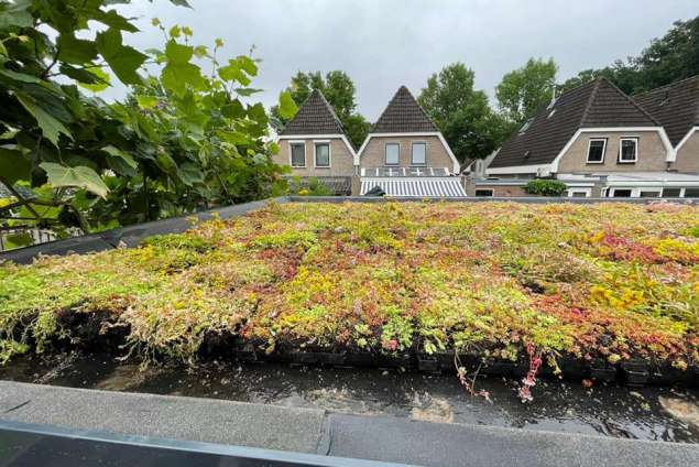 groene daken sedum matten hoe plaatsen 