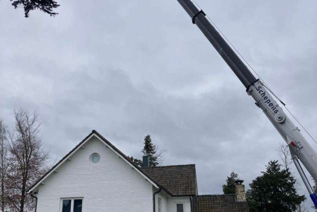 verwijderen van bomen in Kerkrade