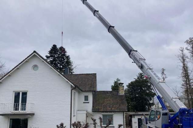 verwijderen van bomen in Kerkrade