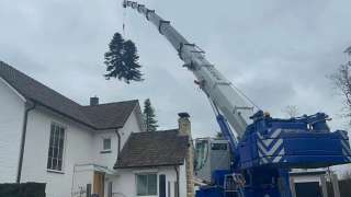 verwijderen van bomen in Kerkrade