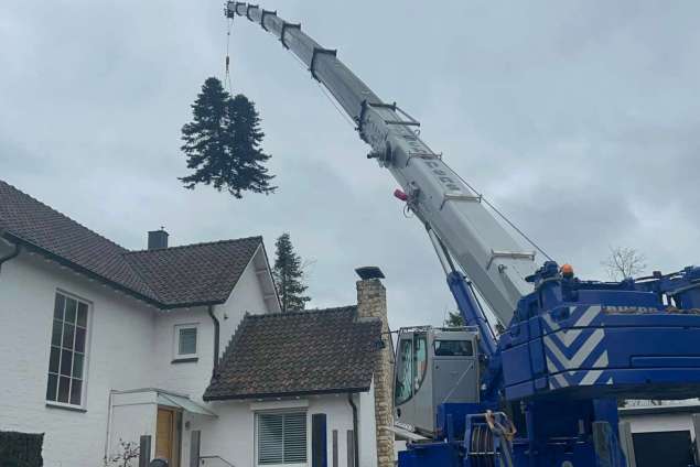 verwijderen van bomen in Kerkrade