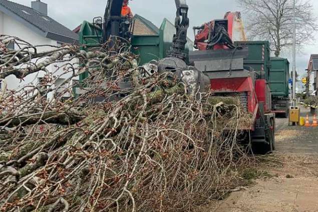 verwijderen van bomen in Kerkrade