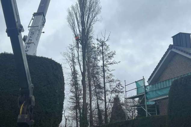 verwijderen van bomen in Kerkrade