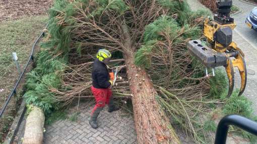 verwijderen van bomen in Eindhoven Mierlo door middel van klimmen en kraanwerk 