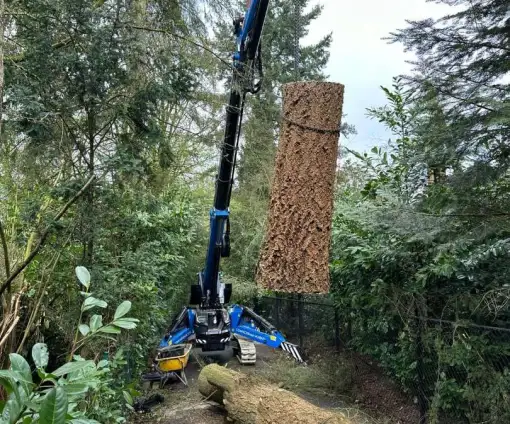 images/0000nieuws/2024/knegsel/verwijderen-bomen-eindhoven-stronken-weg-frezen-opruimen-bomen-in-achtertuin-510x424-65b