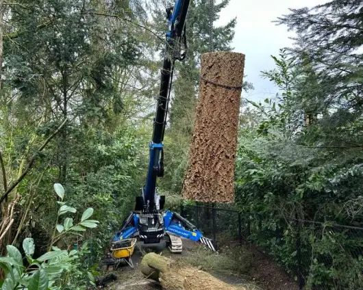 images/0000nieuws/2024/knegsel/verwijderen-bomen-eindhoven-stronken-weg-frezen-opruimen-bomen-in-achtertuin-530x424-9ef