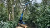 images/0000nieuws/2024/knegsel/verwijderen-bomen-eindhoven-stronken-weg-frezen-opruimen-bomen-in-achtertuin2-160x90-fc1