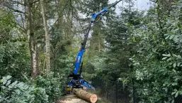 images/0000nieuws/2024/knegsel/verwijderen-bomen-eindhoven-stronken-weg-frezen-opruimen-bomen-in-achtertuin2-257x145-bc1