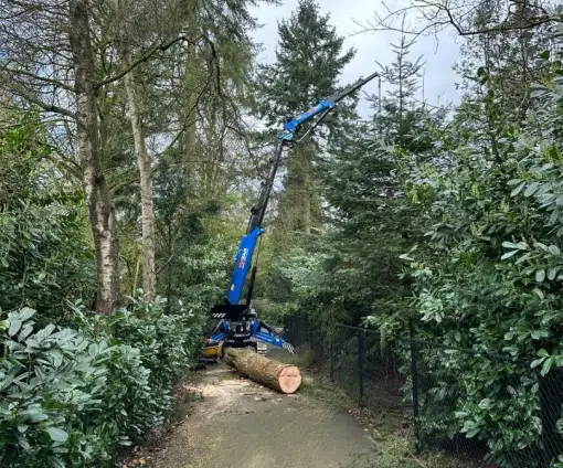 images/0000nieuws/2024/knegsel/verwijderen-bomen-eindhoven-stronken-weg-frezen-opruimen-bomen-in-achtertuin2-510x424-e39