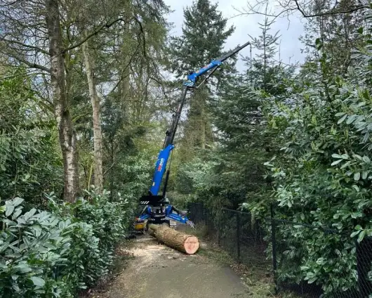 images/0000nieuws/2024/knegsel/verwijderen-bomen-eindhoven-stronken-weg-frezen-opruimen-bomen-in-achtertuin2-530x424-9e4