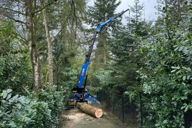 images/0000nieuws/2024/knegsel/verwijderen-bomen-eindhoven-stronken-weg-frezen-opruimen-bomen-in-achtertuin2-635x424-b0c